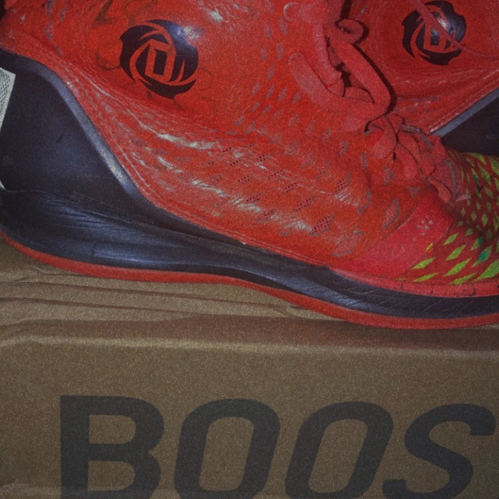 Auto Derrick rose shoes signed by Derrick rose